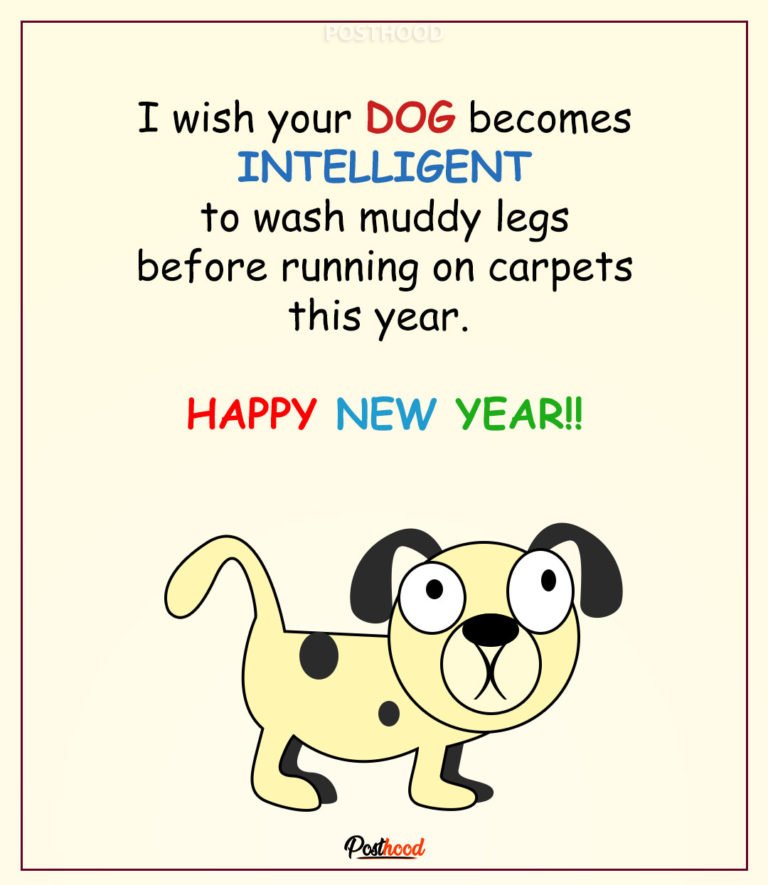 35 Hilarious and Funny New Year Wishes For Friends To Screw – Posthood