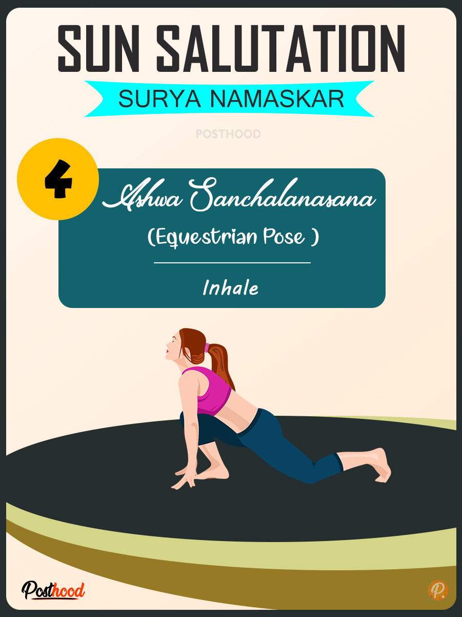 Ashwa Sanchalanasana (Equestrian pose) how to do, and benefits. Learn step by step beginner-friendly guide of Surya Namaskar (Sun Salutation). 