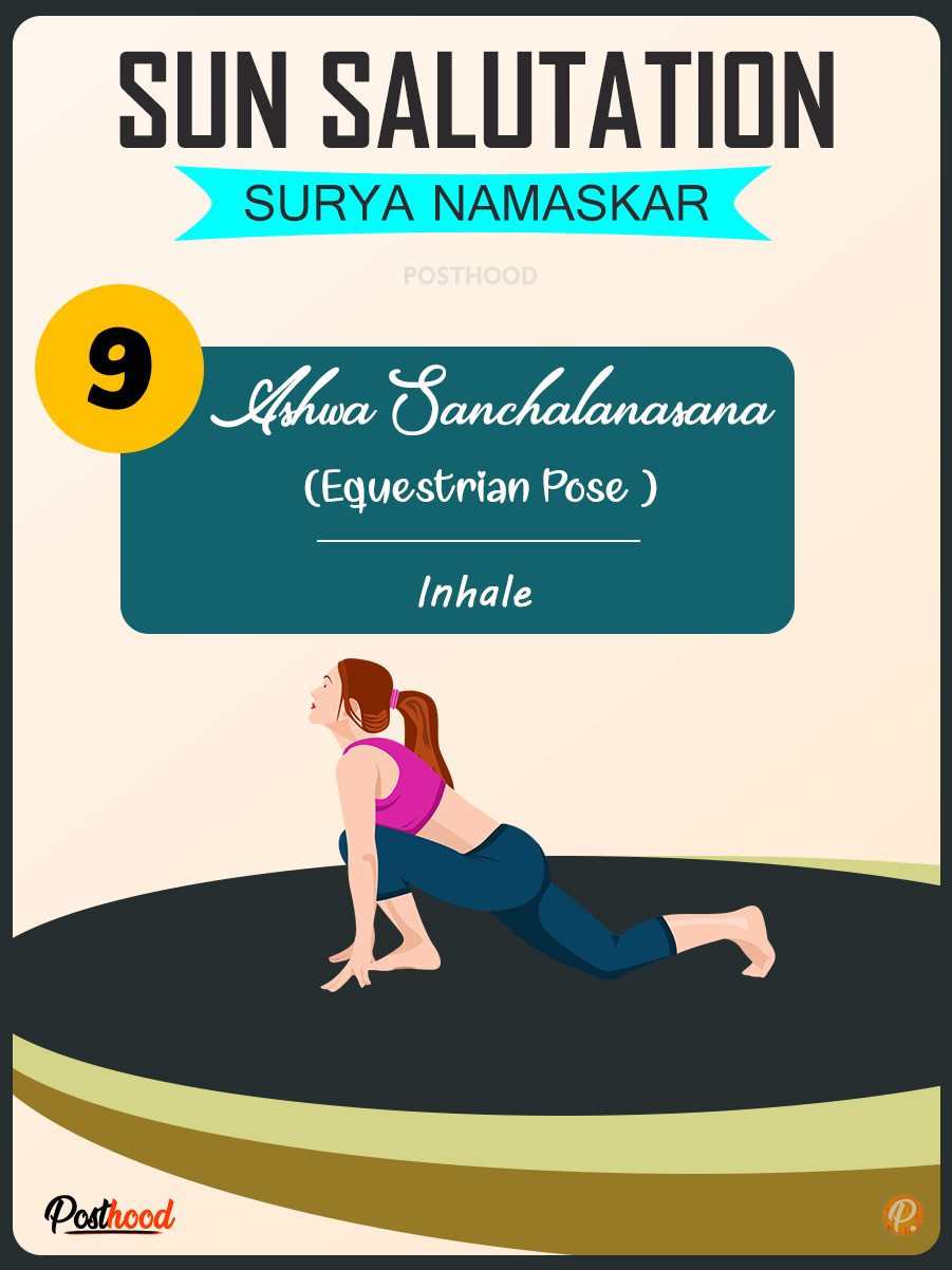 Ashwa Sanchalanasana (Equestrian Pose) in sun salutation sequence. Learn easy to practice beginner's tips for Surya Namaskar yoga. Free printable yoga cards. 