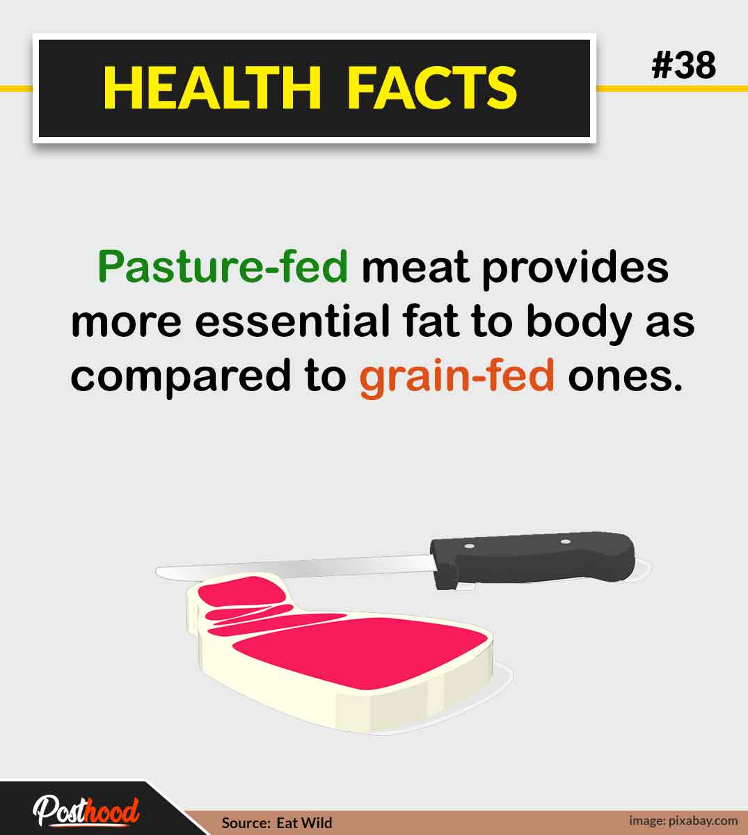 Try adopting healthy food choices with these mind-blowing food facts to inspire you for a healthy diet. General health facts about food.